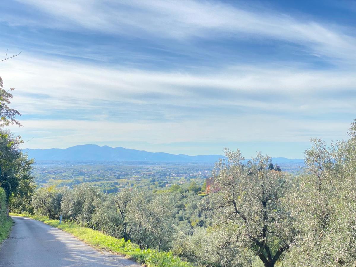 Leonardo Da Vinci - Appartamento Nel Verde Con Parcheggio E Wi-Fi Buitenkant foto